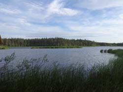 Июнь 2016. Водный поход, Карелия, Чирка-Кемь. Фотографии Лизы, кадр 702