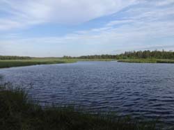 Июнь 2016. Водный поход, Карелия, Чирка-Кемь. Фотографии Лизы, кадр 710
