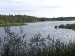Июнь 2016. Водный поход, Карелия, Чирка-Кемь. Фотографии Лизы, кадр 712