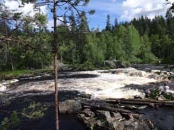 Июнь 2016. Водный поход, Карелия, Чирка-Кемь. Фотографии Лизы, кадр 783