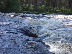 Июнь 2016. Водный поход, Карелия, Чирка-Кемь. Фотографии Лизы, кадр 805