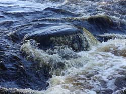 Июнь 2016. Водный поход, Карелия, Чирка-Кемь. Фотографии Лизы, кадр 813