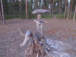 Июнь 2016. Водный поход, Карелия, Чирка-Кемь. Фотографии Лизы, кадр 832