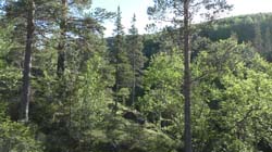 Пеший поход по Кольскому Полуострову. Июль 2017. Фотоаппарат № 3, кадр Пеший поход по Кольскому Полуострову. Июль 2017. Фотоаппарат № 3. Кадр Пеший поход по Кольскому Полуострову. Июль 2017. Фотоаппарат № 3. Кадр S1670064