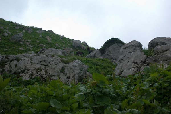 IMGP4688