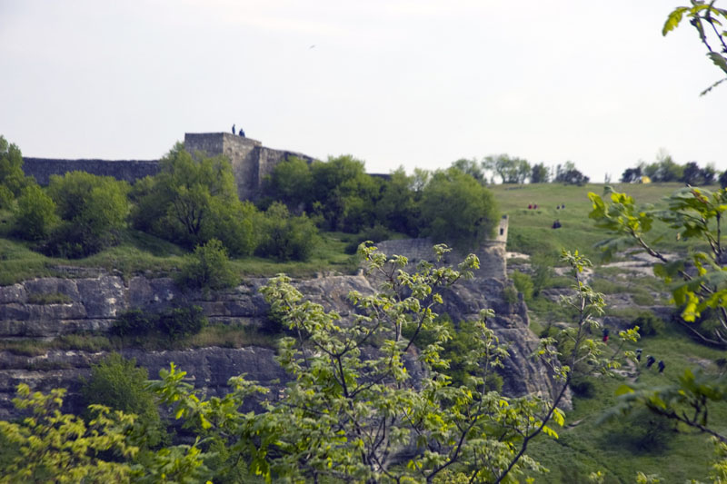 CRW_8077