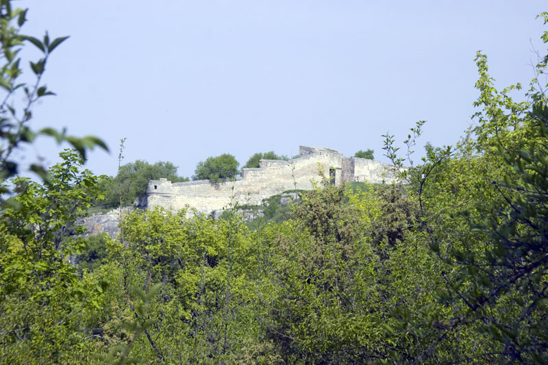 CRW_8085