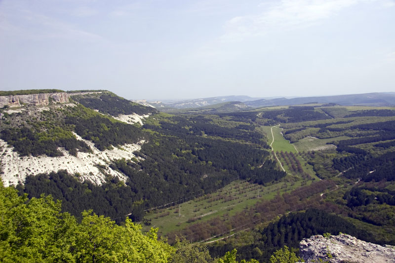 CRW_8091