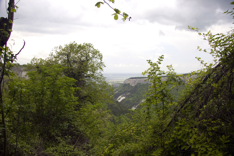 CRW_8163