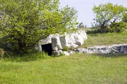 CRW_8088