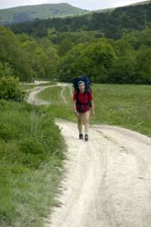 CRW_8240