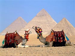 Египет. Какой курорт выбрать?