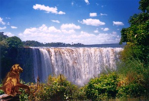 Зимбабве – интересный и неизведанный край