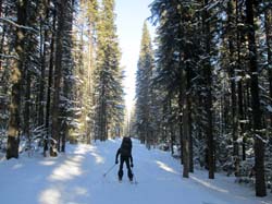 Лыжный поход, Таганай 2018. Фотографии Ани Дорожкиной, кадр 074