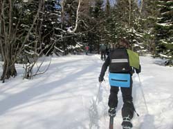 Лыжный поход, Таганай 2018. Фотографии Ани Дорожкиной, кадр 107
